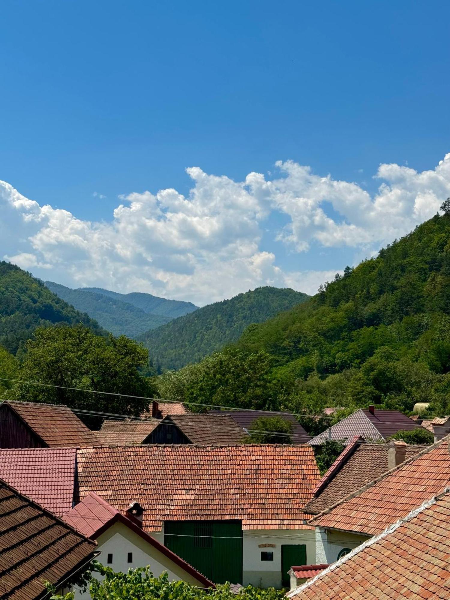 Casa Presecan Телмачу Экстерьер фото
